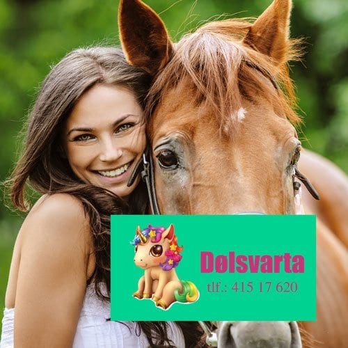 Navnemerker til hest - Bilde 7