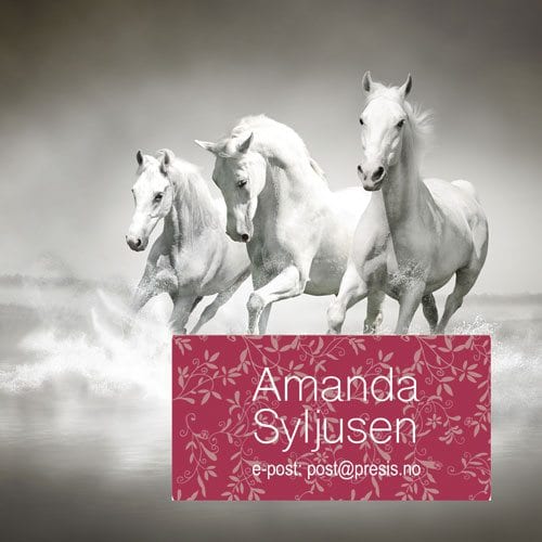 Navnemerker til hest - Bilde 8