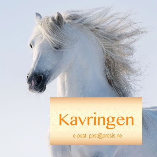 Navnemerker til hest - Bilde 3