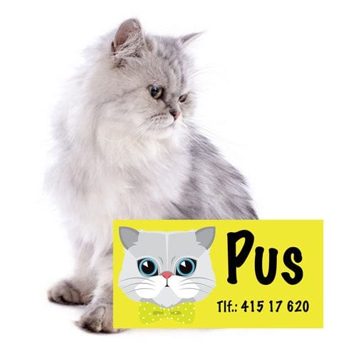 Navnemerker til katt fra presisfoto