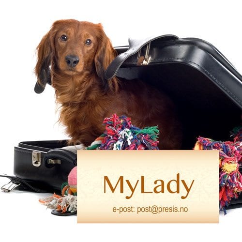 Navnemerker til hund - Bilde 7