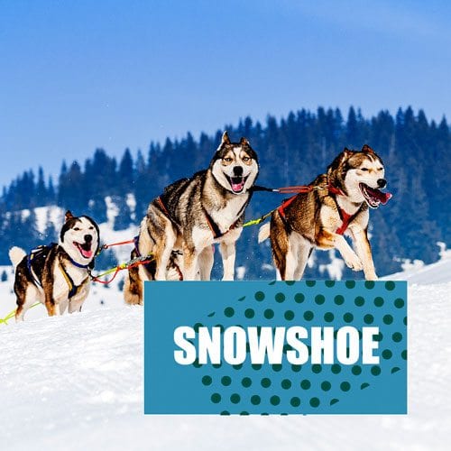 Navnemerker til hund - Bilde 3